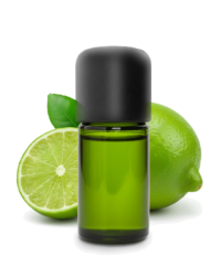 Premium distilled lime oil from finest lime peels - Asset Fruit